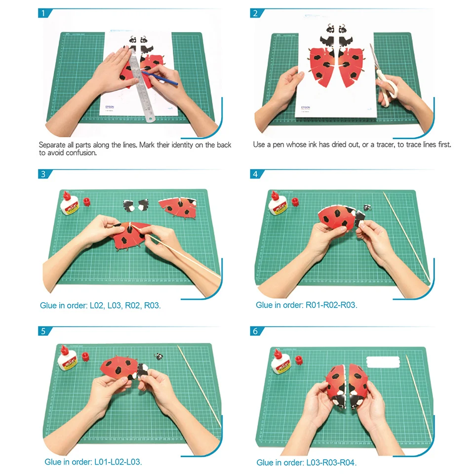 Lieveheersbeestje Insect Origa - Art Craft Ladybug recensie en prijs