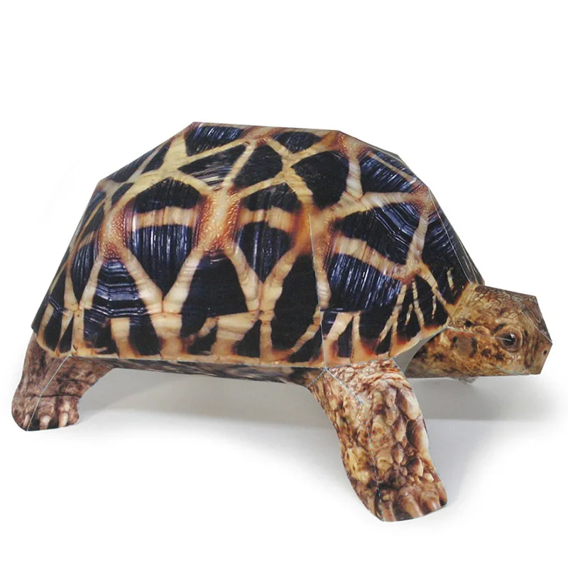 Indian Star Schildpad Papier M - Art Craft Cardboard recensie en prijs