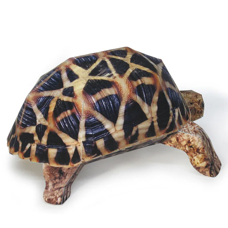 Indian Star Schildpad Papier M - Art Craft Cardboard recensie en prijs