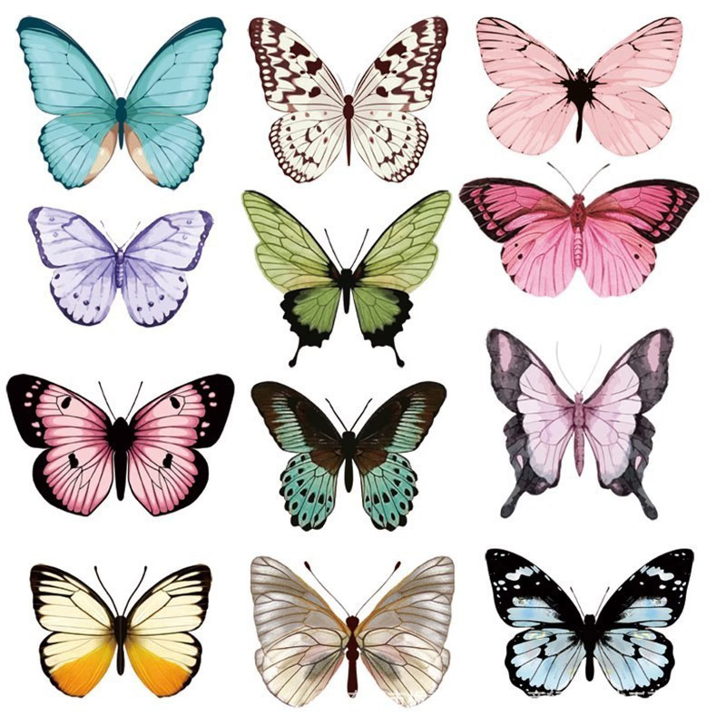 12 stks 3D Vlinder Muursticker - Art Craft Easter recensie en prijs