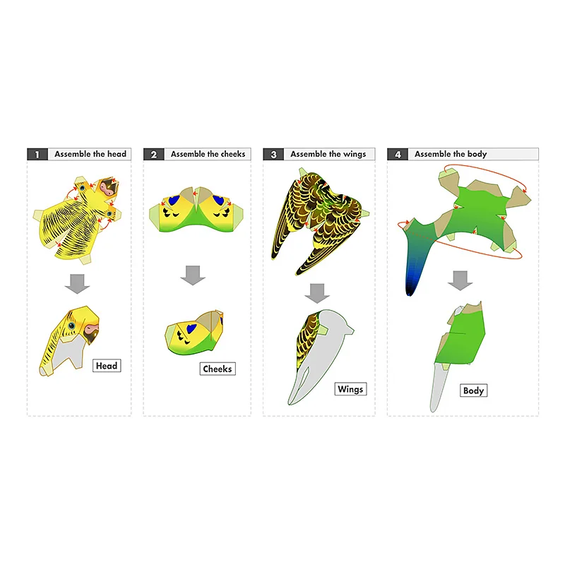 Grasparkiet Papegaai Vogel Han - Art Craft Cardboard recensie en prijs
